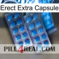 Erect Extra Capsule viagra2